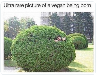 vegan.png