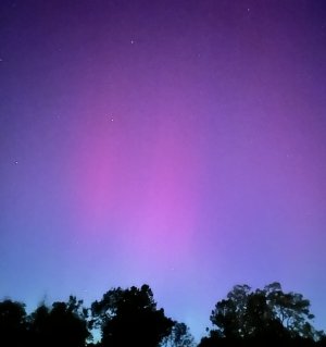 20241010 Aurora crop.jpg