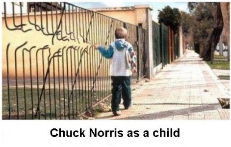 Chuck Norris.jpg