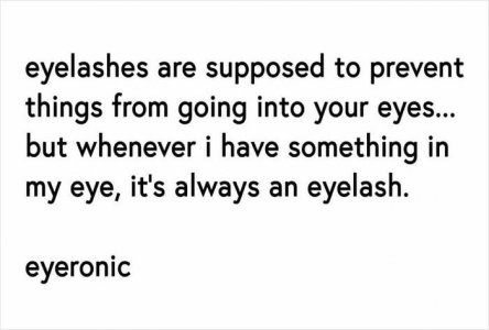 Eyelash.jpg