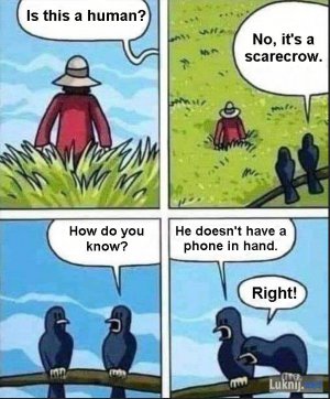 Scarecrow.jpg