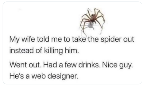 spider.png