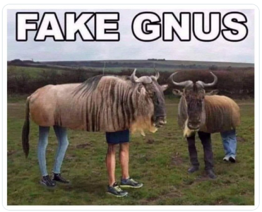 gnus.png