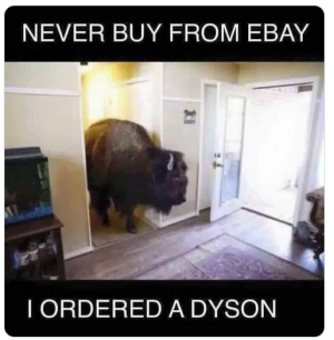 bison.png