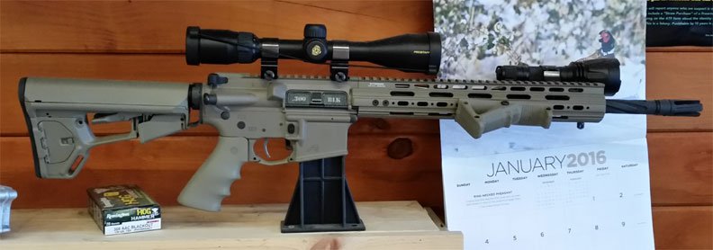 300-AR.jpg